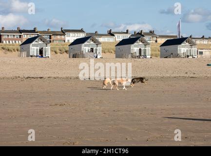 Katwijk, Paesi Bassi - 23 Aprile 2017: Riga bianca spiaggia ospita presso la costa olandese in Katwijk, Paesi Bassi Foto Stock