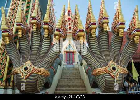Il Wat Sadej nella città di Kamphaeng Phet nella provincia di Kamphaeng Phet nella Thailandia del Nord. Thailandia, Kamphaeng Phet, Novembre 2019 Foto Stock