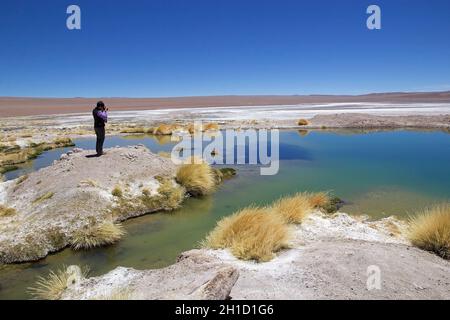 Donna sulla riva del laghetto al Salar de Arizaro alla Puna de Atacama, Argentina. Salar di Arizaro è un grande piatto di sale delle Ande in Nor Foto Stock