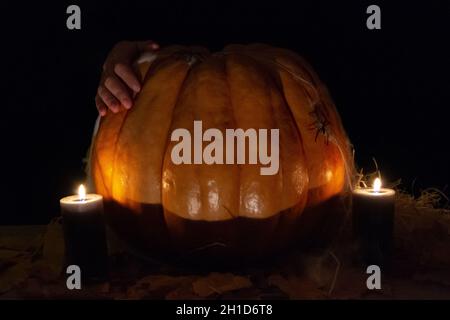 La foto di studio di candele bruciate. Mano umana su Pumpkin con ragno e ciottoli su sfondo nero. Foto concettuale di Halloween. Spazio per il vostro t Foto Stock