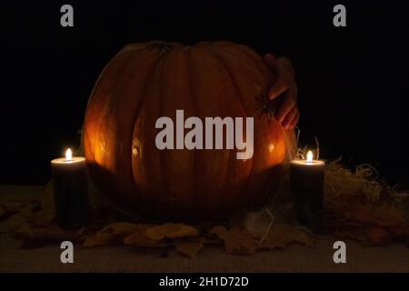 La foto di studio di candele bruciate. Mano umana su Pumpkin con ragno e ciottoli su sfondo nero. Foto concettuale di Halloween. Spazio per il vostro t Foto Stock