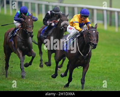 Lo Stag Horn guidato dal jockey Hollie Doyle (a destra) vince il Phil Bull Trophy Conditions Stakes all'ippodromo di Pontefract, nello Yorkshire Occidentale. Data foto: Lunedì 18 ottobre 2021. Foto Stock