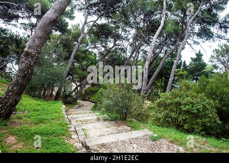 Bellissimi sentieri del Parco Gradac in Dubrovnik Foto Stock