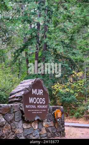 SAN FRANCISCO, CALIFORNIA - 12 novembre 2019: Muir Woods National Monument è un monumento nazionale degli Stati Uniti gestito dal National Park Service, Foto Stock