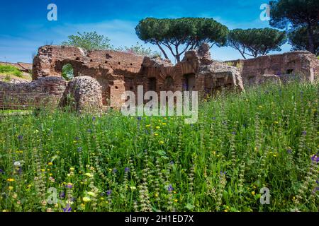 Ninfeo e cisterne adiacente al Colle Palatino in Roma Foto Stock