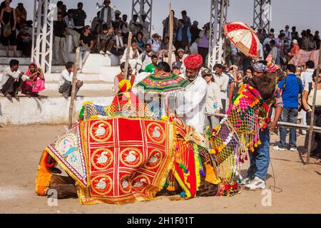 PUSHKAR, INDIA - 22 NOVEMBRE 2012: L'uomo che decora il suo cammello per il concorso di decorazione del cammello a fiera del cammello di Pushkar (Mela di Pushkar) - cinque giorni annuali è venuto Foto Stock