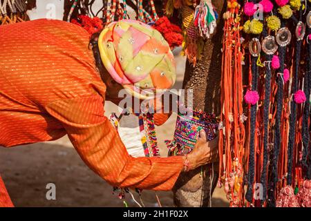 PUSHKAR, INDIA - 22 NOVEMBRE 2012: L'uomo che decora il suo cammello per il concorso di decorazione del cammello a fiera del cammello di Pushkar (Mela di Pushkar) - cinque giorni annuali è venuto Foto Stock