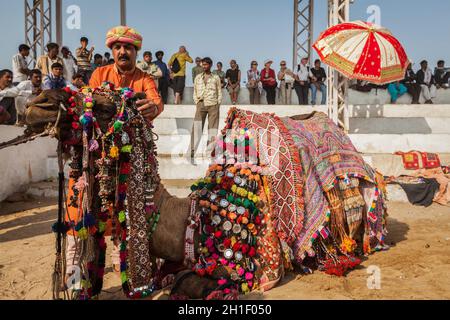 PUSHKAR, INDIA - 22 NOVEMBRE 2012: L'uomo che decora il suo cammello per il concorso di decorazione del cammello a fiera del cammello di Pushkar (Mela di Pushkar) - cinque giorni annuali è venuto Foto Stock