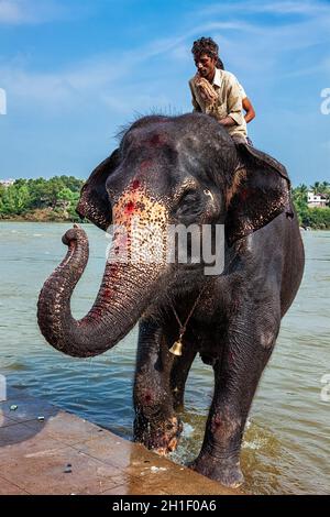 HAMPI, INDIA - 8 OTTOBRE 2010: Elefante con mahouts non identificati nel fiume. Hampi, Karnataka, India Foto Stock