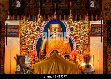 Statua dorata di Buddha Sakyamuni nel tempio Tsuglagkhang. McLeod Ganj, Himachal Pradesh, India Foto Stock