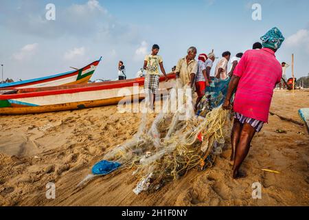 CHENNAI, INDIA - 10 FEBBRAIO 2013: Pescatori indiani che trascinano la rete di pesca con le loro catture dal mare a Marina Beach, Chennai, Tamil Nadu Foto Stock