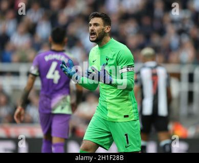 Newcastle, Regno Unito. 17 ottobre 2021. Hugo Lloris di Tottenham durante la partita della Premier League al St. James's Park, Newcastle. Il credito d'immagine dovrebbe leggere: Simon Bellis/Sportimage Credit: Sportimage/Alamy Live News Foto Stock