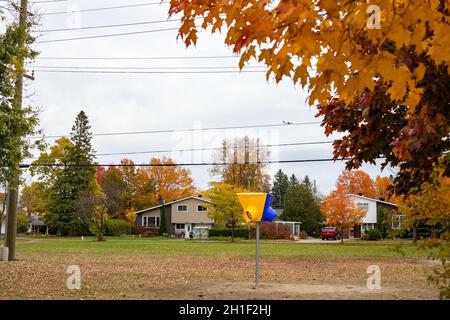 Autunno nel parco pubblico locale e cortile scolastico. Foglie che cambiano colore sugli alberi in autunno in quartiere con case sullo sfondo. Foto Stock