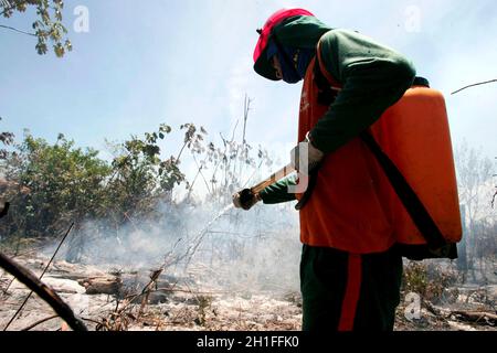 prado, bahia / brasile - 8 dicembre 2009: Membri della brigata combattere l'incendio nella foresta nativa nel Parco Nazionale Discovery, nel comune di Pr Foto Stock