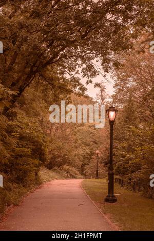 Splendida vista panoramica da Central Park, New York City Manhattan Foto Stock