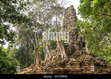 Preah Palilay tempio rovine è Khmer antico tempio nel complesso Angkor Wat a Siem Reap, Cambogia in un giorno d'estate Foto Stock