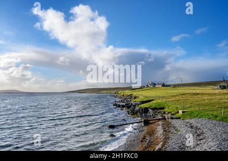 Paesaggio vicino al Gutcher a Belmont Ferry, Yell, Shetland, Isole Shetland, Scozia, REGNO UNITO Foto Stock