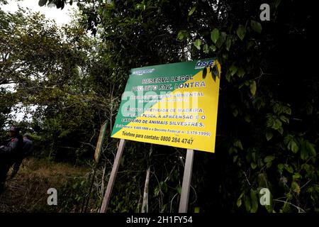 Itanagra, bahia / brasile - 22 novembre 2018: Altantica Foresta nella riserva forestale Lontras nel comune di Itanagra. *** Local Caption *** . Foto Stock