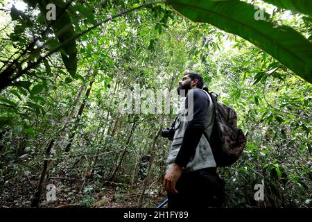 Itanagra, bahia / brasile - 22 novembre 2018: Altantica Foresta nella riserva forestale Lontras nel comune di Itanagra. *** Local Caption *** . Foto Stock