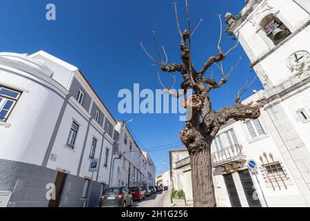 Sesimbra, Portogallo - 19 febbraio 2020: Dettaglio architettonico di una piccola strada nel centro della città con la sua chiesa in un giorno d'inverno Foto Stock