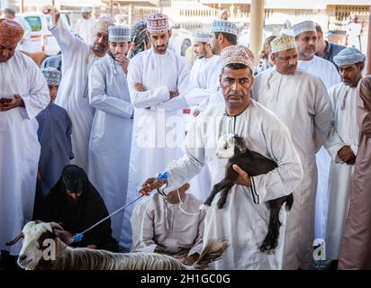 Nizwa, Oman, 2 dicembre 2016: Venditori di capra al mercato della capra di venerdì a Nizwa, Oman Foto Stock