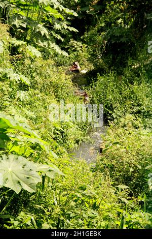 itabuna, bahia / brasile - 23 aprile 2012: corrego dove il sistema fognario domestico è scaricato nella città di Itabuna, nel sud di Bahia. Foto Stock