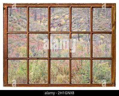 Arazzo di arbusti in colori autunnali e foresta bruciata sui pendii del Colorado settentrionale come visto da una finestra di cenere d'epoca Foto Stock