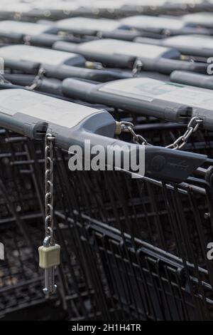 Primo piano dei carrelli per lo shopping in diverse file Foto Stock