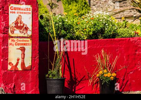 Dingle, Ireland, agosto 2018 Focus selettivo sulle pubblicità di poster di Guinness vintage su una parete rossa. Guinness è l'iconica birra irlandese Foto Stock