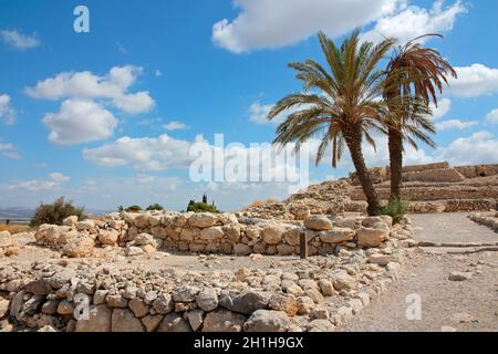 Alberi di palma al Parco Nazionale di Megiddo - un sito patrimonio dell'umanità dell'UNESCO, Israele settentrionale Foto Stock