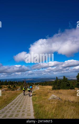 sulla mountain bike sul brocken Foto Stock