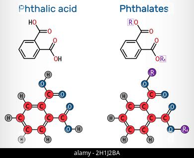 Molecola di acido ftalico (acido ortoftalico) e ftalati (ortoftalato). Formula chimica strutturale e modello molecolare. Illustrazione vettoriale Illustrazione Vettoriale