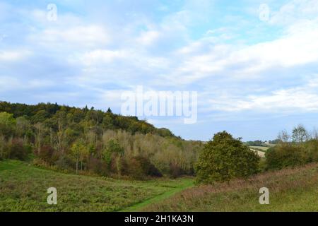 Andrew's Wood, vicino al monte Badgers e a Shoreham nel Kent, il giorno di ottobre. Faggi, valle secca e fogliame colore autunno Foto Stock