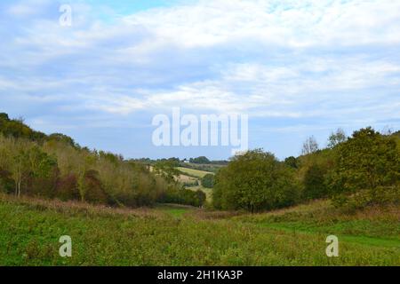 Andrew's Wood, vicino al monte Badgers e a Shoreham nel Kent, il giorno di ottobre. Faggi, valle secca e fogliame colore autunno Foto Stock