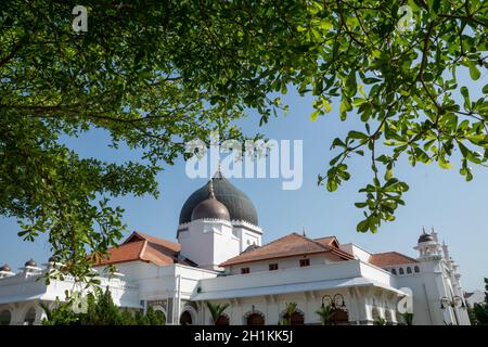 Moschea Kapitan Keling, Pulau Pinang con foglie verdi in primo piano. Foto Stock