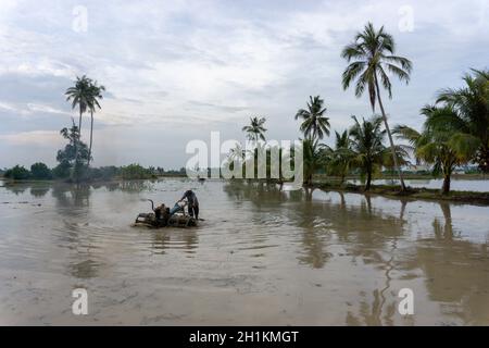 Sungai Udang, Penang/Malaysia - Mar 05 2017: Coltivatore malese aratura in risaia fattoria. Foto Stock