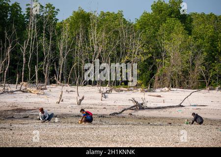 Sekinchan, Selangor/Malaysia - Ott 06 2019: Malese scavare le vongole vicino alla costa. Foto Stock