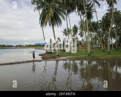 PENAGA, Penang/Malaysia - Nov 01 2019: Una passeggiata contadina verso la fattoria di cocco. Foto Stock