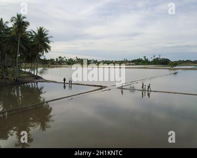 PENAGA, Penang/Malaysia - Nov 01 2019: La gente gode di un paesaggio di turismo ecologico presso la fattoria di cocco. Foto Stock