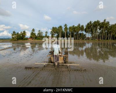 PENAGA, Penang/Malaysia - Nov 01 2019: Lavora con il trattore a paddy Field con piantagione di cocco di fondo. Foto Stock