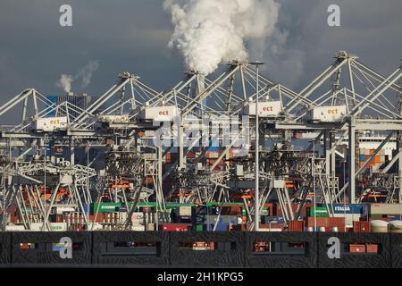 Rotterdam, Paesi Bassi - Circa 2019: Sistema enorme di gru per la movimentazione di carichi container nel terminal europeo dei container ECT, porto di Rotterdam, autobus Foto Stock