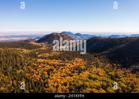 Autumn colored trees in Arizona with mountains in background  Foto Stock