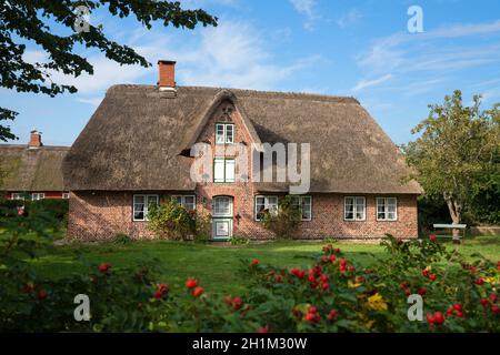 NEBEL, GERMANIA - 29 SETTEMBRE 2020: Immagine panoramica di una tradizionale casa Frisia contro il cielo blu il 29 settembre 2020 su Amrum, Germania Foto Stock