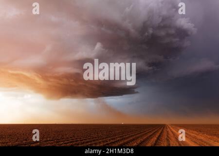 Le nubi della tempesta drammatica e la polvere soffia nell'afflusso di una tempesta di tuoni supercellulari al tramonto vicino Levelland, Texas Foto Stock