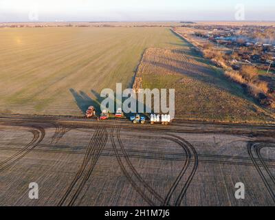 Esportazione di fertilizzante per i campi. Molla di piante di concimazione Foto Stock