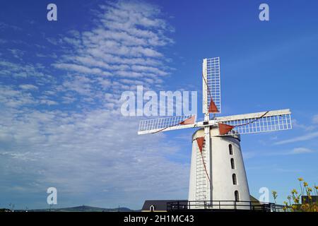 Blennerville Windmill è un mulino a torre di Blennerville, Co. Kerry. Foto Stock