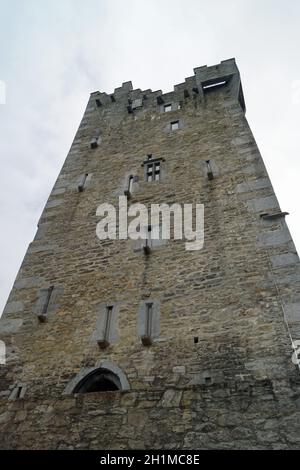 Ross Castle è un castello in Irlanda. Si trova vicino a Killarney su una penisola sulla riva orientale di Lough Leane, il più grande dei tre laghi di Kil Foto Stock