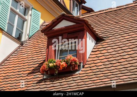 Bamberg, Germania - 22 maggio 2016: Fiori sul tetto di mansarda su tradizionali case a graticcio in una città vecchia di Bamberga in Germania. Foto Stock