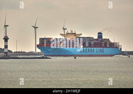 ROTTERDAM, PAESI BASSI - CIRCA 2019: Nave container Maersk che entra nel porto di Rotterdam. È il più trafficato sistema di trasporto merci d'Europa Foto Stock