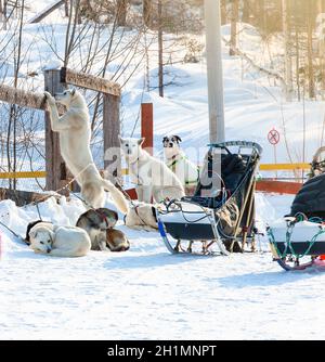 Sled utilizzato su niente uomo ghiacciaio per cane sledders Foto Stock